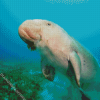 Dugong Diamond Painting