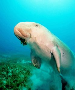 Dugong Diamond Painting