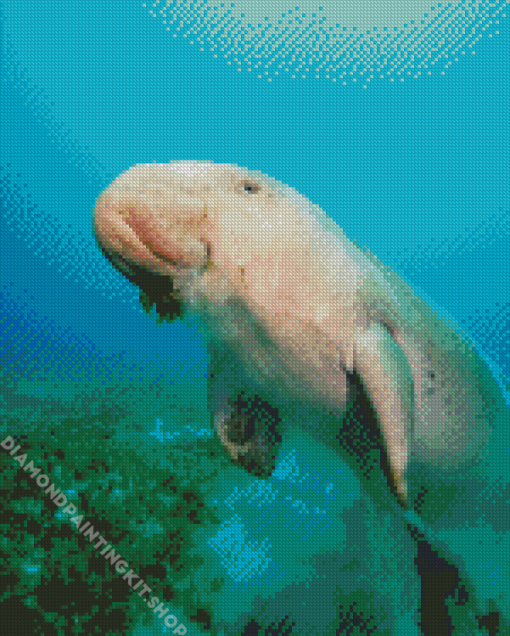 Dugong Diamond Painting