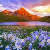 Flowers And Lake Mountains Diamond Painting