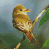 Flycatcher Bird Diamond Painting