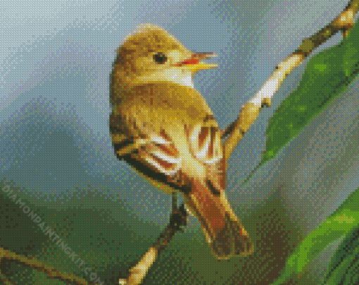 Flycatcher Bird Diamond Painting