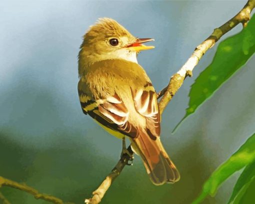 Flycatcher Bird Diamond Painting