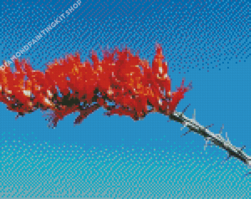 Fouquieria Splendens Ocotillo Cactus Diamond Painting