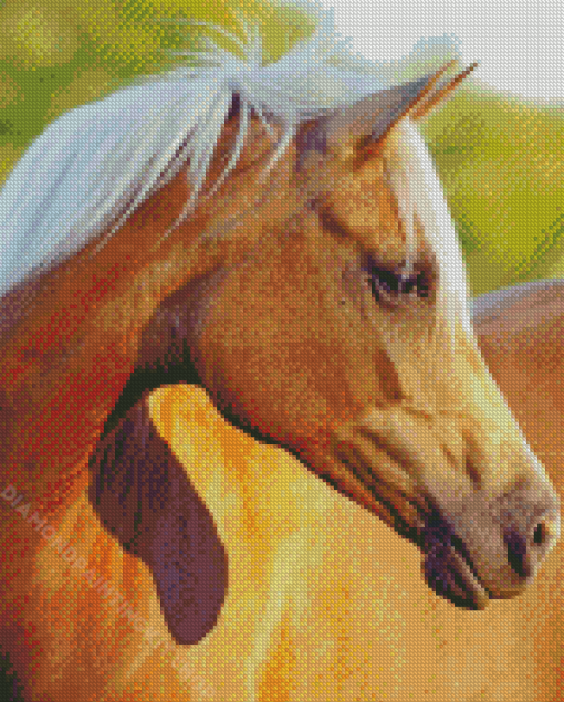 Golden Mare Horse Diamond Painting