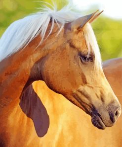 Golden Mare Horse Diamond Painting