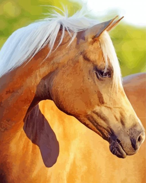 Golden Mare Horse Diamond Painting