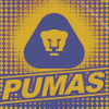 Pumas Unam Logo Diamond Painting