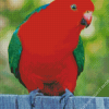 King Parrot Bird Diamond Painting