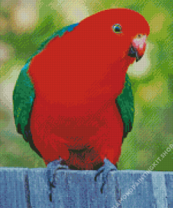 King Parrot Bird Diamond Painting