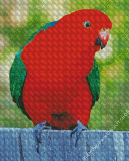 King Parrot Bird Diamond Painting