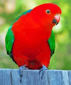 King Parrot Bird Diamond Painting