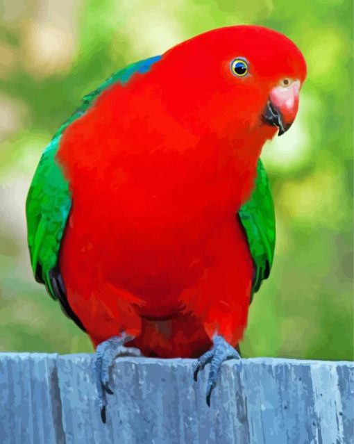 King Parrot Bird Diamond Painting