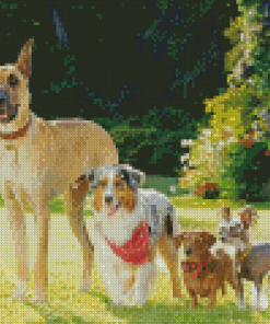 Marmaduke Diamond Painting