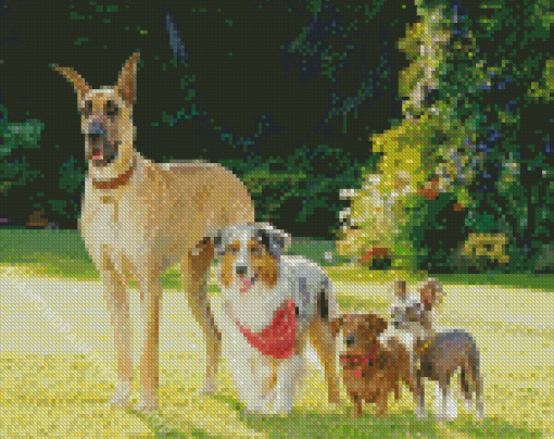 Marmaduke Diamond Painting