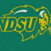 Ndsu Bison Diamond Painting