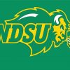 Ndsu Bison Diamond Painting