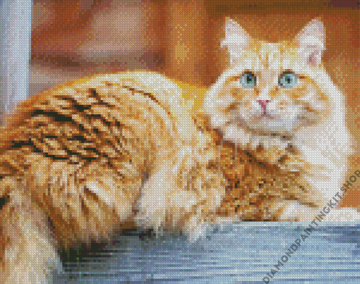 Orange Siberian Cat Diamond Painting