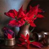 Poinsettia Flowers Still Life Diamond Painting