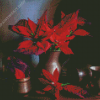 Poinsettia Flowers Still Life Diamond Painting