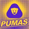 Pumas Unam Logo Diamond Painting