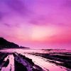 Purple Night Beach Diamond Painting