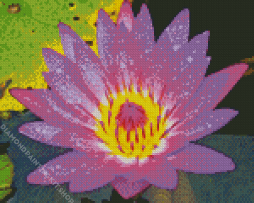 Purple Yellow Water Lily Diamond Painting