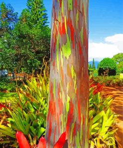 Rainbow Eucalyptus Tree Diamond Painting