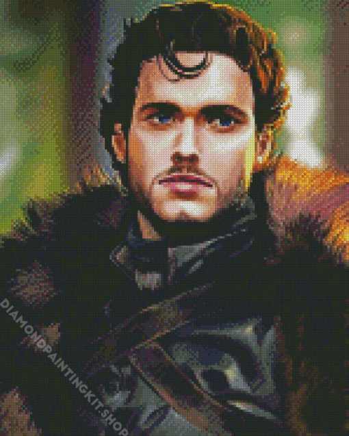 Robb Stark Diamond Painting