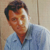 Rock Hudson Actor Diamond Painting