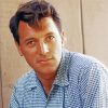 Rock Hudson Actor Diamond Painting