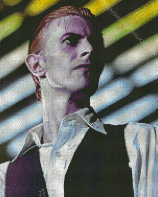 Thin White Duke Diamond Painting