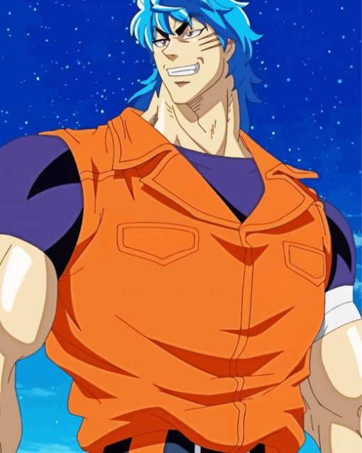 Toriko Character Diamond Painting