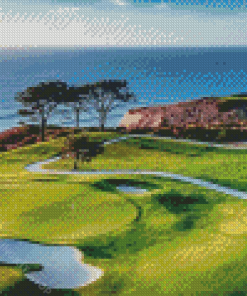 Torrey Pines Landscape Diamond Painting