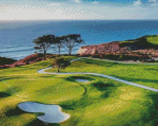 Torrey Pines Landscape Diamond Painting