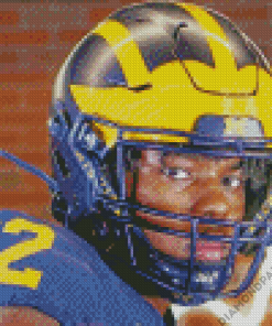 University Of Michigan American Footballer Diamond Painting