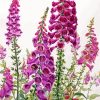 Aesthetic Foxglove Diamond Painting