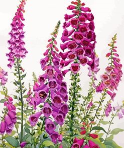 Aesthetic Foxglove Diamond Painting