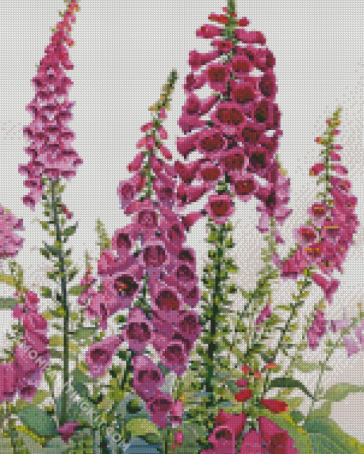 Aesthetic Foxglove Diamond Painting