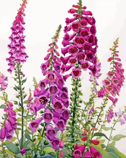 Aesthetic Foxglove Diamond Painting