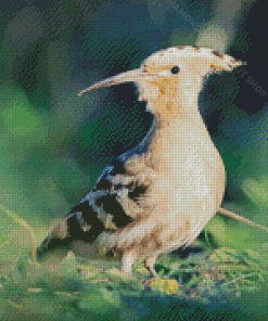 Aesthetic Hoopoe Bird Diamond Painting