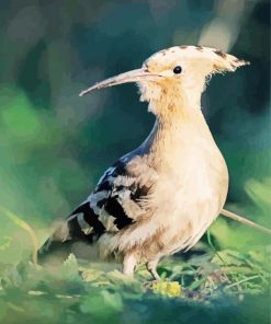 Aesthetic Hoopoe Bird Diamond Painting