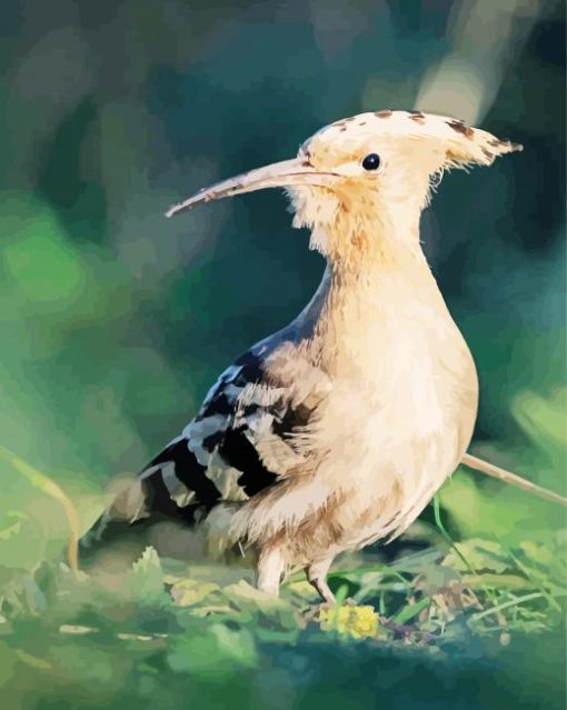 Aesthetic Hoopoe Bird Diamond Painting