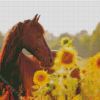 Beautiful Horse With Sunflowers Diamond Painting