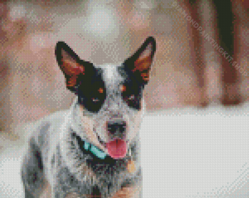 Blue Cattle Dog Diamond Painting