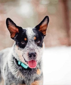 Blue Cattle Dog Diamond Painting