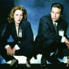 Cool The X Files Diamond Painting