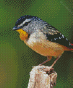 Cool Pardalote Bird Diamond Painting