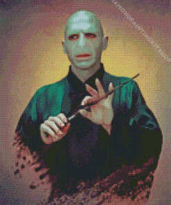 Lord Voldemort Art Diamond Painting