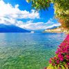 Flowers On The Lakeside Of Bellagio Province Of Como Diamond Painting